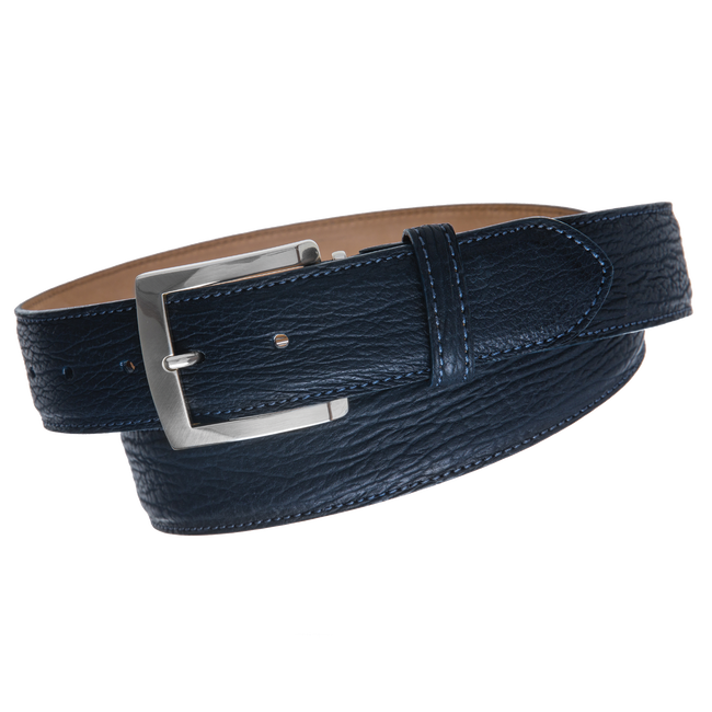 Shark, Navy
